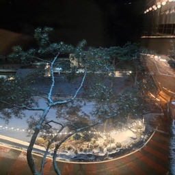 피드에 업로드 된 이미지