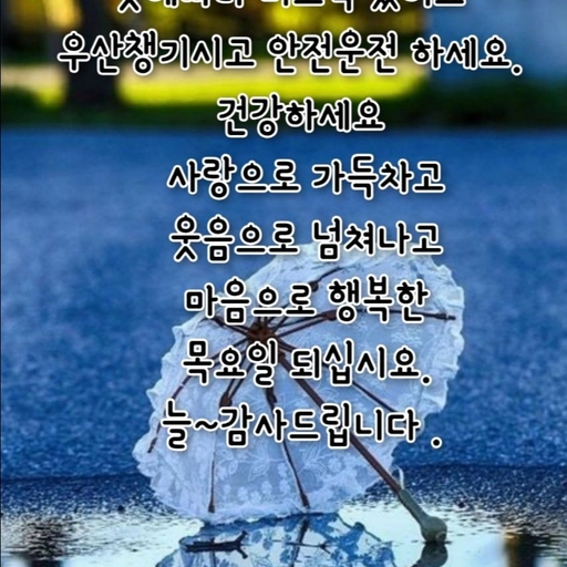 피드 이미지