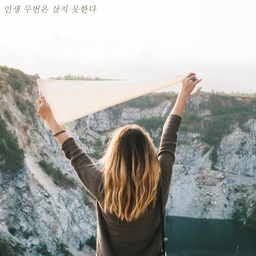 피드에 업로드 된 이미지