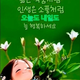피드에 업로드 된 이미지