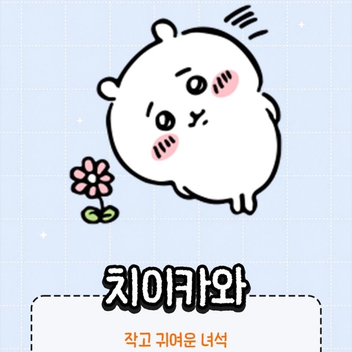피드 이미지