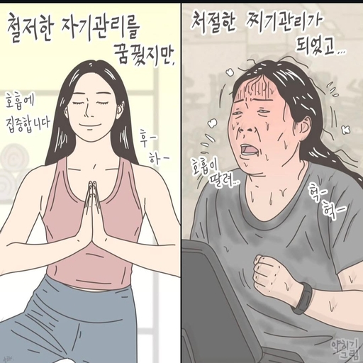 피드 이미지