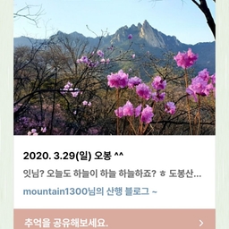 피드에 업로드 된 이미지