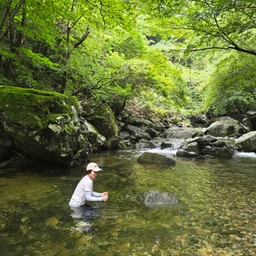 피드에 업로드 된 이미지