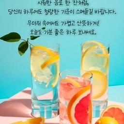 피드에 업로드 된 이미지