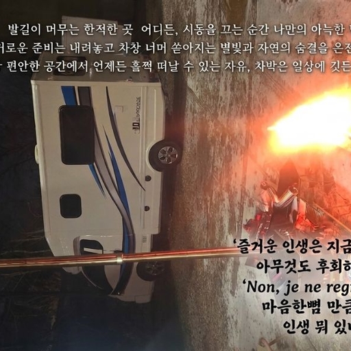 피드 이미지