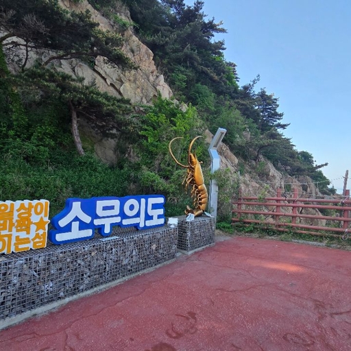 피드 이미지