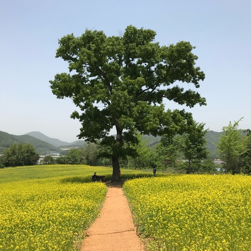 피드 이미지
