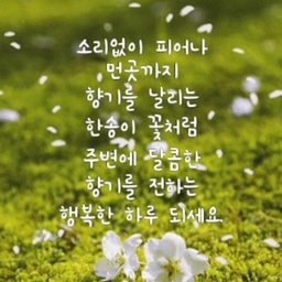 피드에 업로드 된 이미지