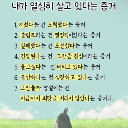 피드 이미지