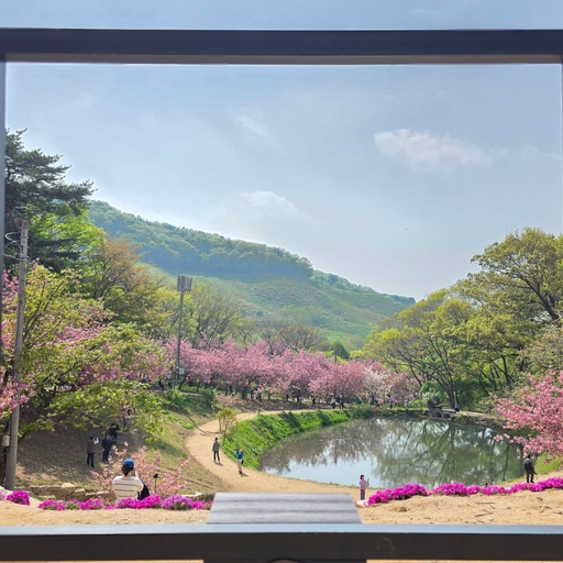피드 이미지