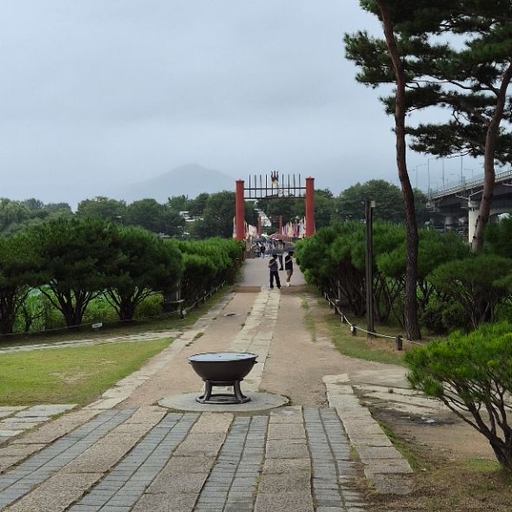피드 이미지