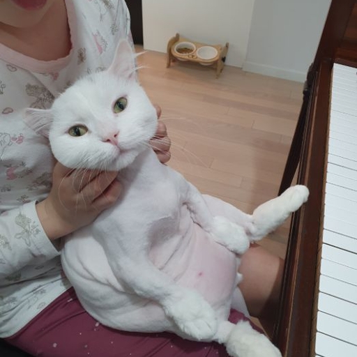 피드 이미지