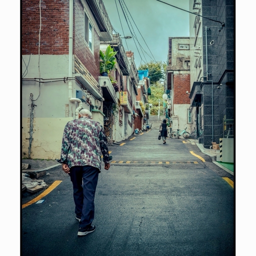 피드 이미지