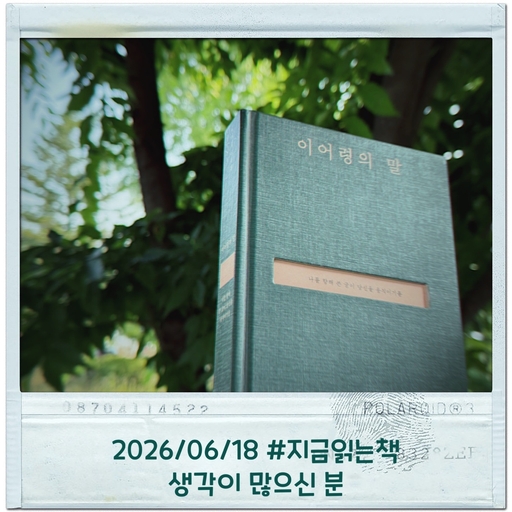 피드 이미지