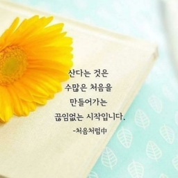 피드에 업로드 된 이미지