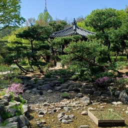 피드에 업로드 된 이미지