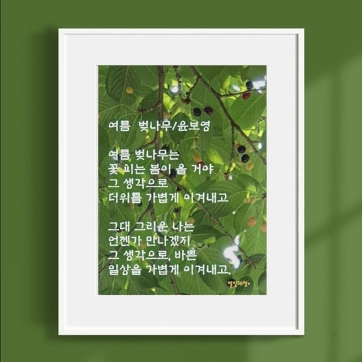피드 이미지