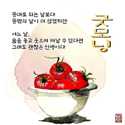 피드에 업로드 된 이미지