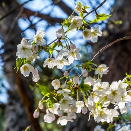 피드에 업로드 된 이미지