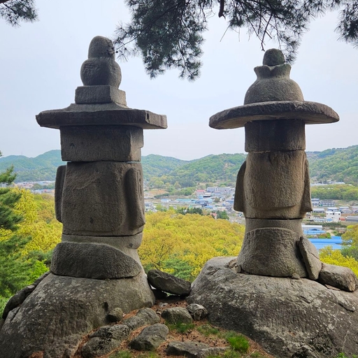 피드 이미지