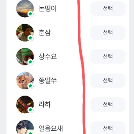 피드 이미지
