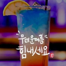 피드에 업로드 된 이미지