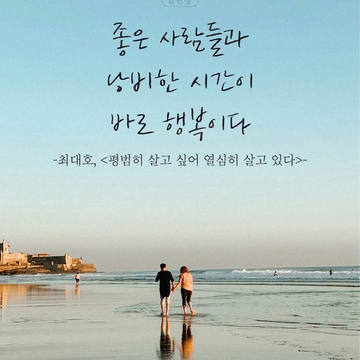 피드 이미지