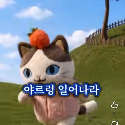 피드 이미지
