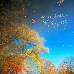 피드에 업로드 된 이미지