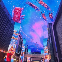 피드에 업로드 된 이미지