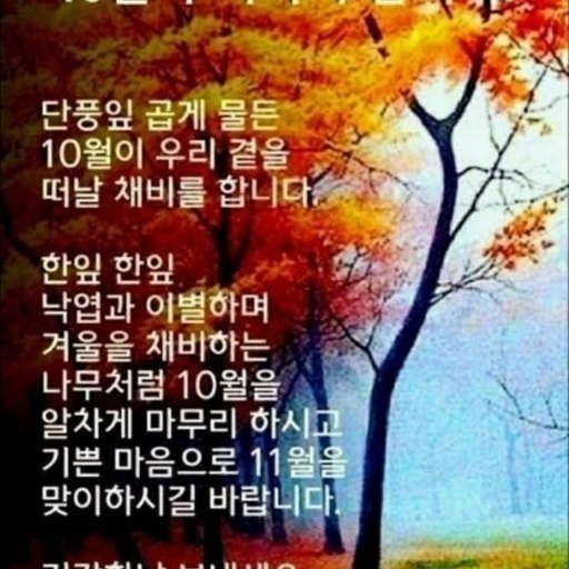 피드 이미지