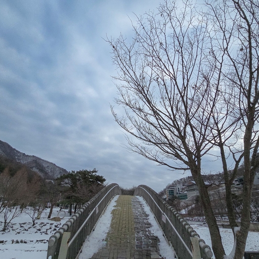 피드 이미지