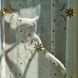 피드에 업로드 된 이미지