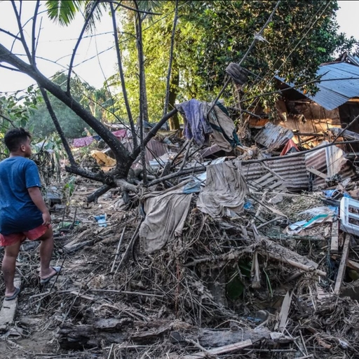 ํผ๋ ์ด๋ฏธ์ง