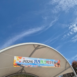 피드에 업로드 된 이미지