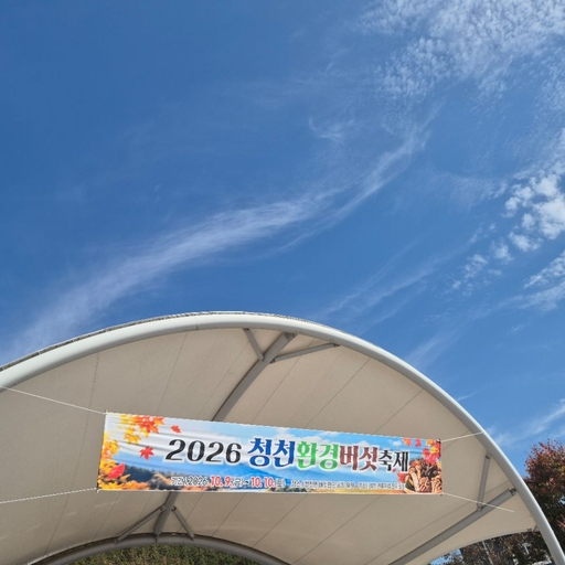피드 이미지