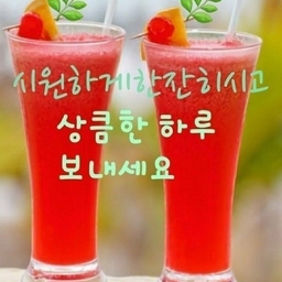 피드에 업로드 된 이미지