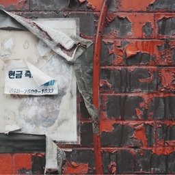 피드에 업로드 된 이미지