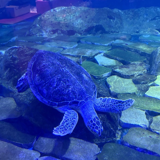 피드 이미지