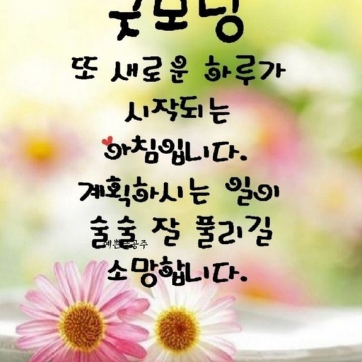 피드 이미지