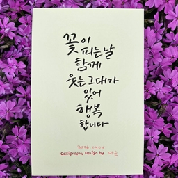 피드에 업로드 된 이미지