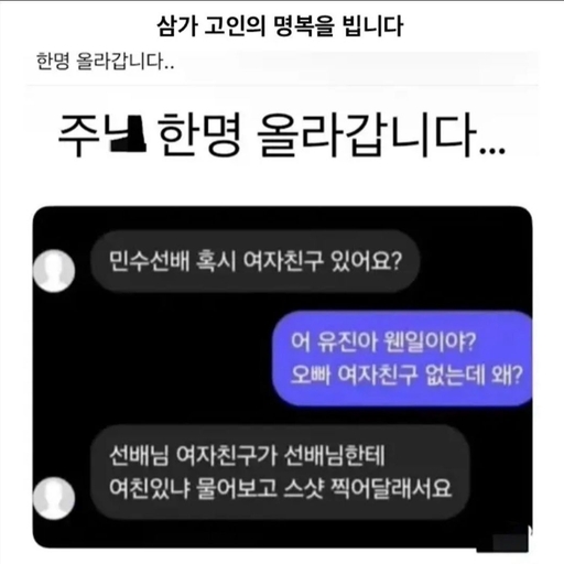피드 이미지