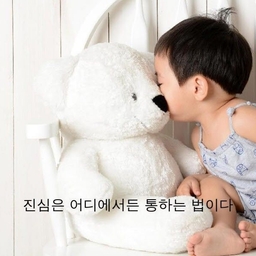 피드에 업로드 된 이미지