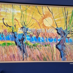 피드에 업로드 된 이미지