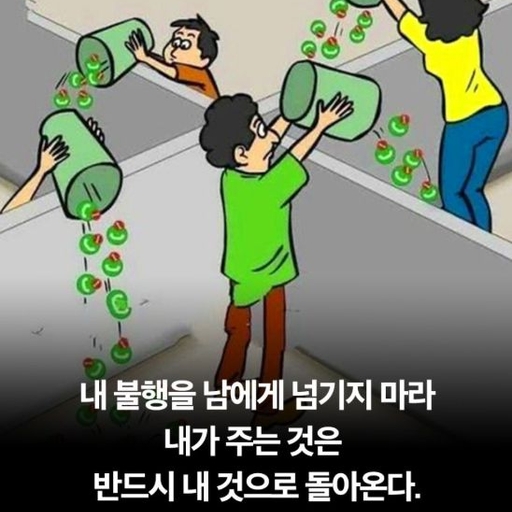 피드 이미지
