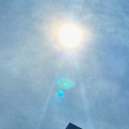 피드에 업로드 된 이미지