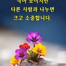 피드에 업로드 된 이미지