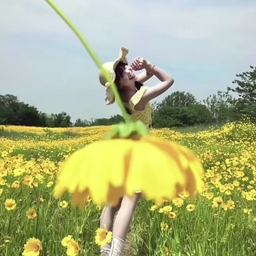 피드에 업로드 된 이미지