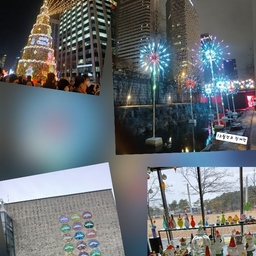 피드에 업로드 된 이미지